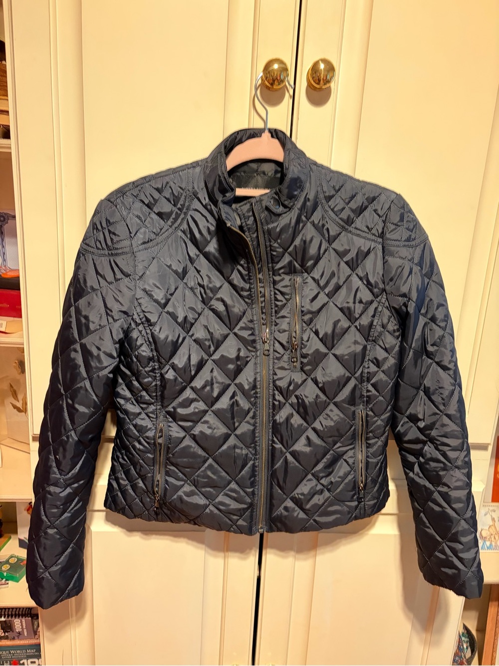 Banana Republic Quilted Biker Jacket